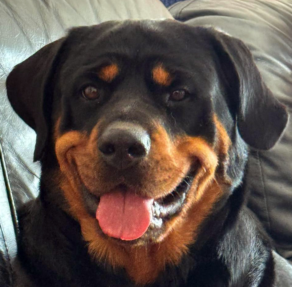 Nova